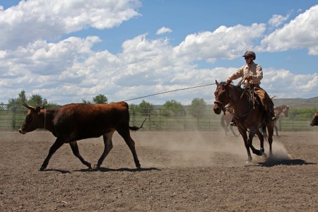 Western Sky Horsemanship