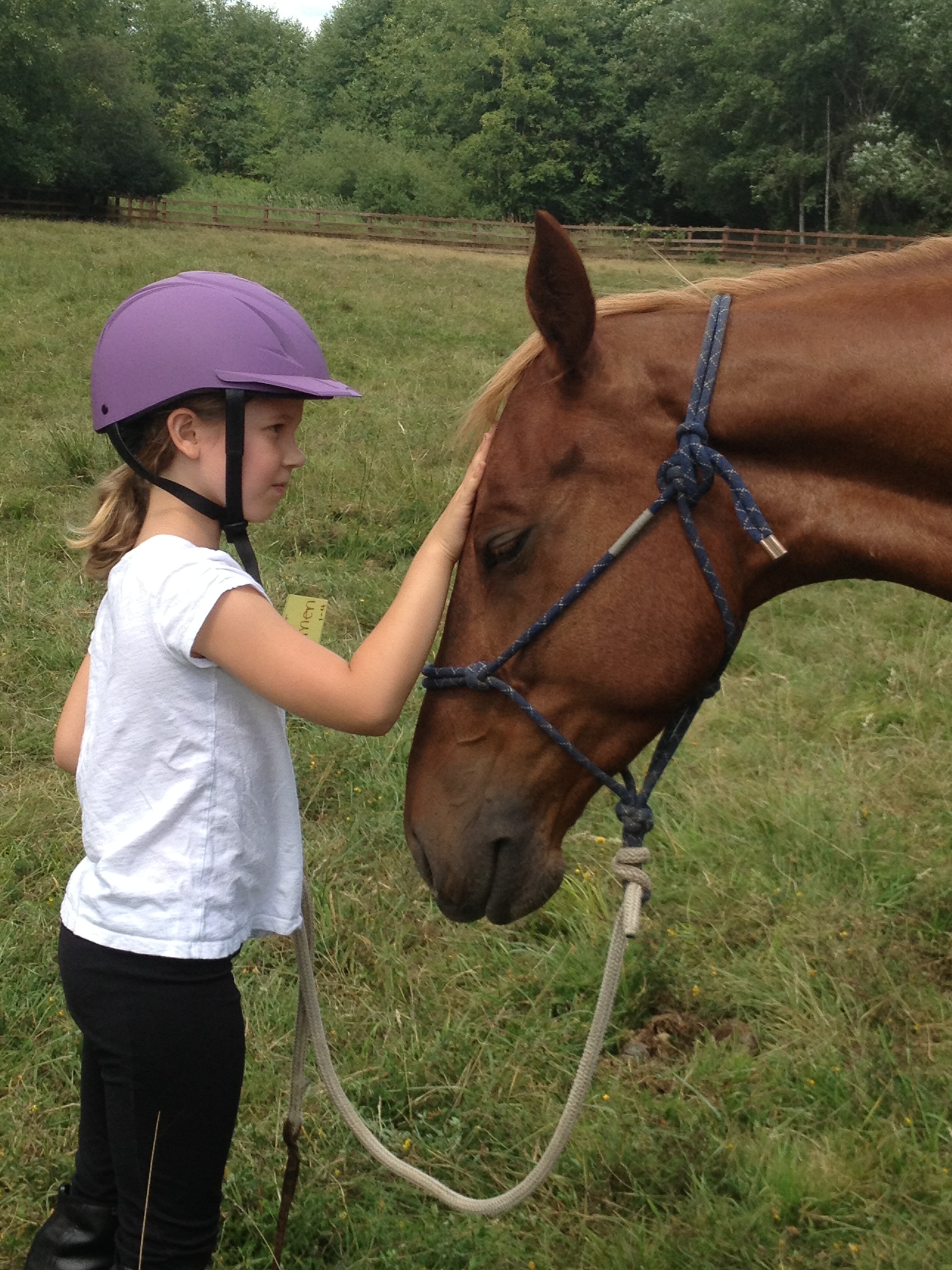 Western Sky Horsemanship