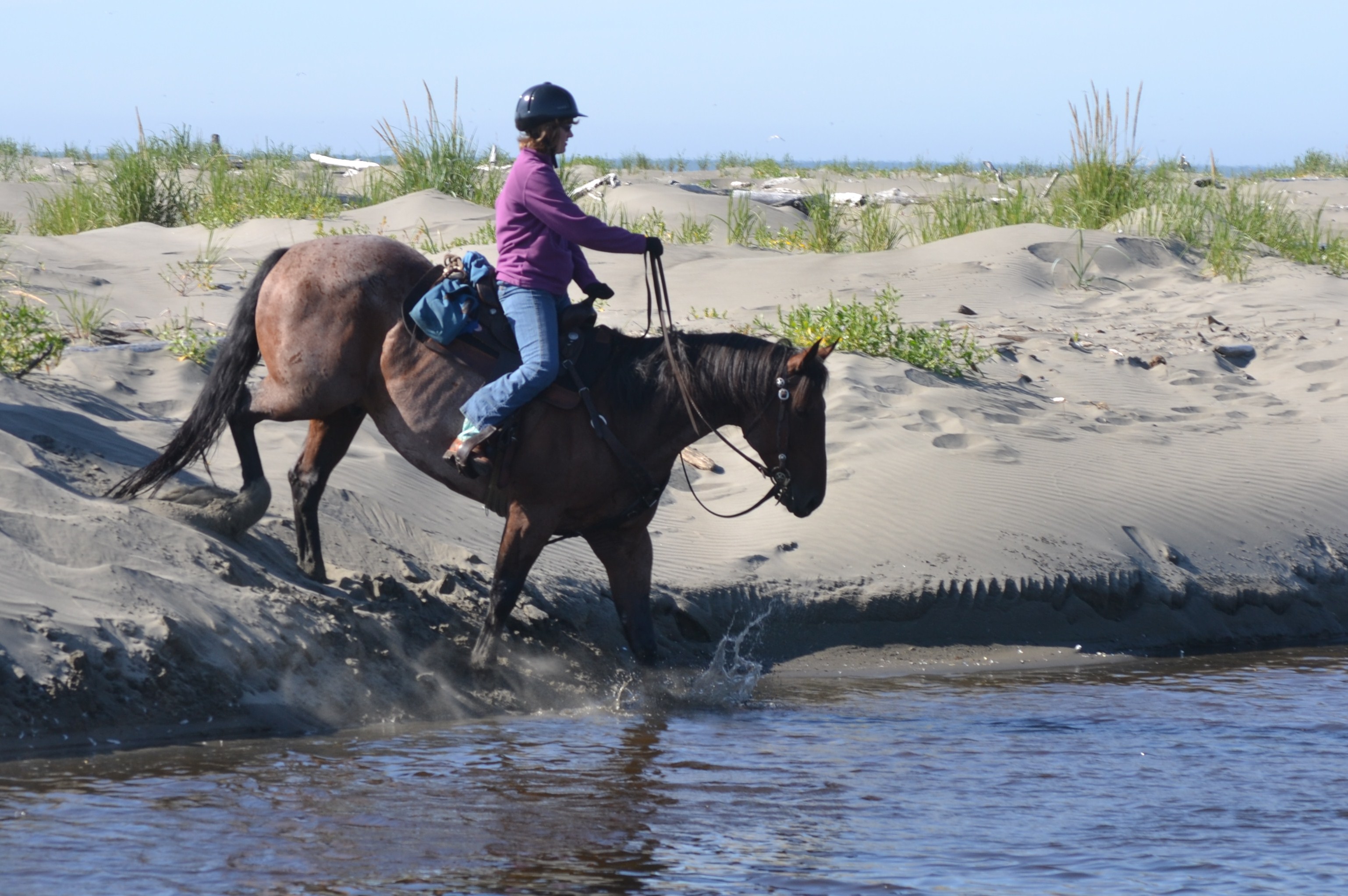 Western Sky Horsemanship