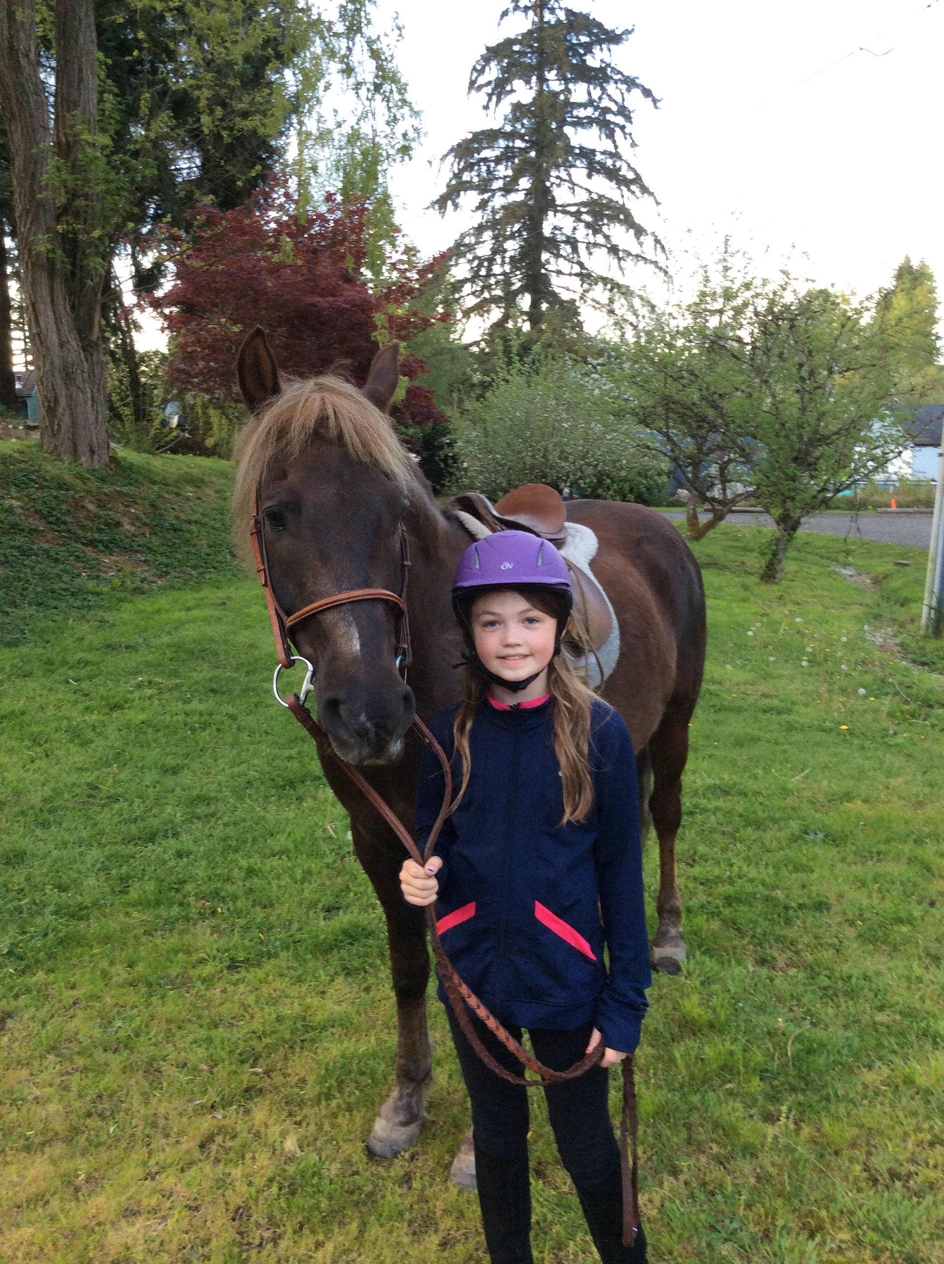 Western Sky Horsemanship