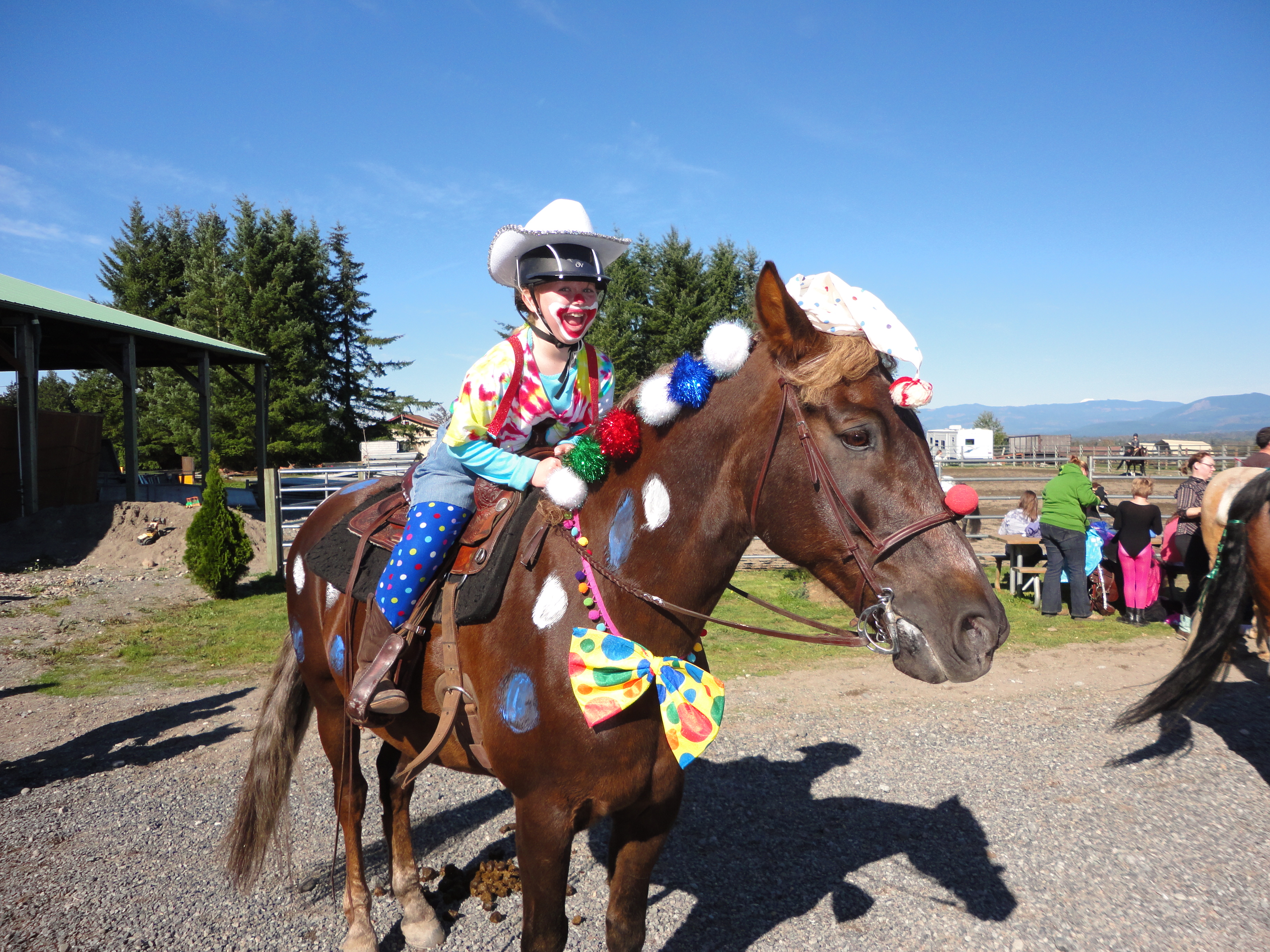 Western Sky Horsemanship