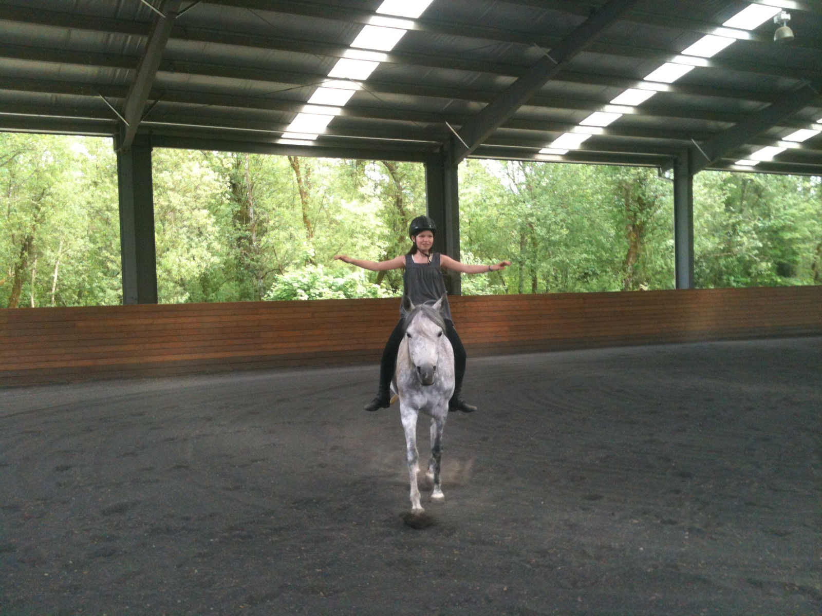 Western Sky Horsemanship