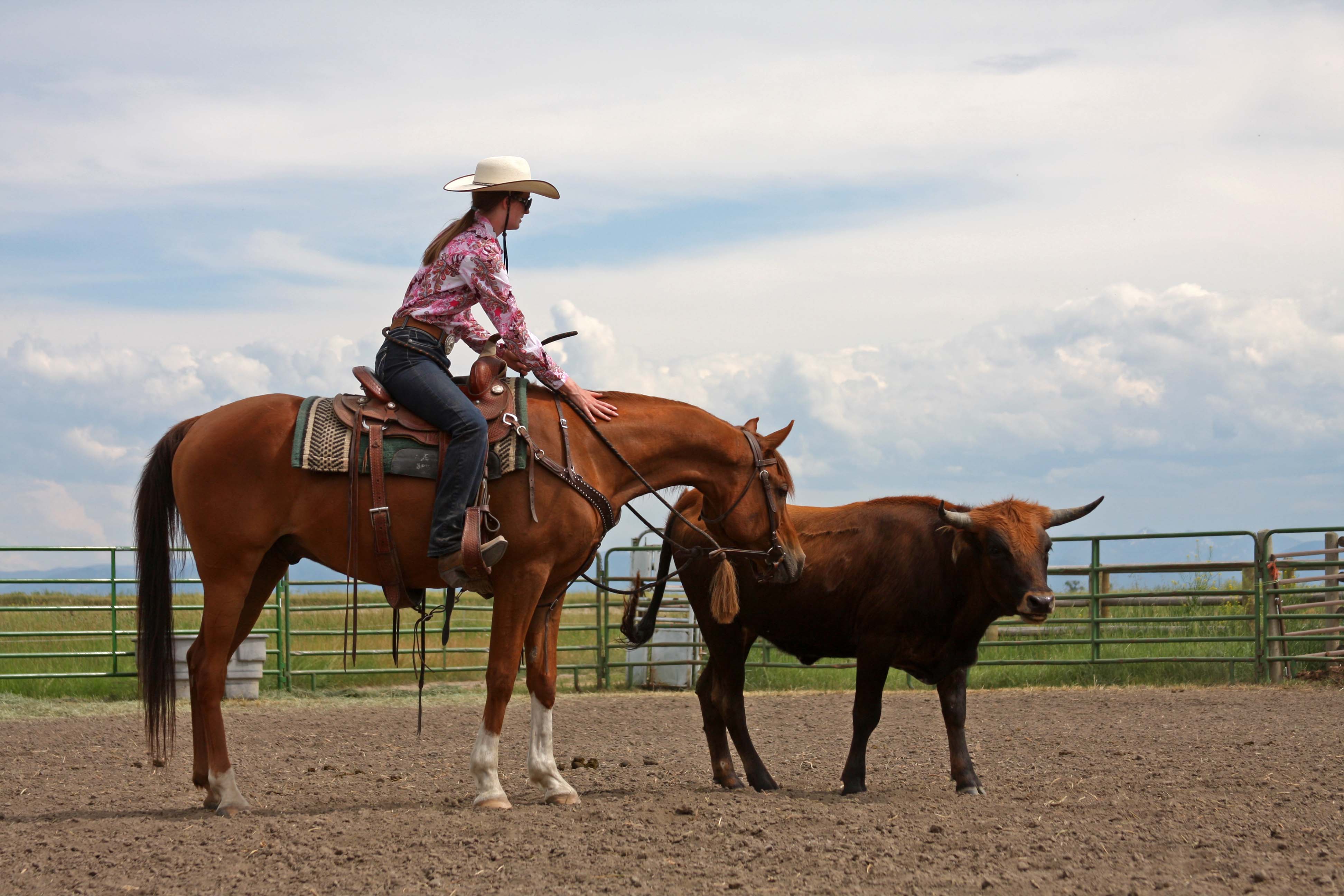 Western Sky Horsemanship