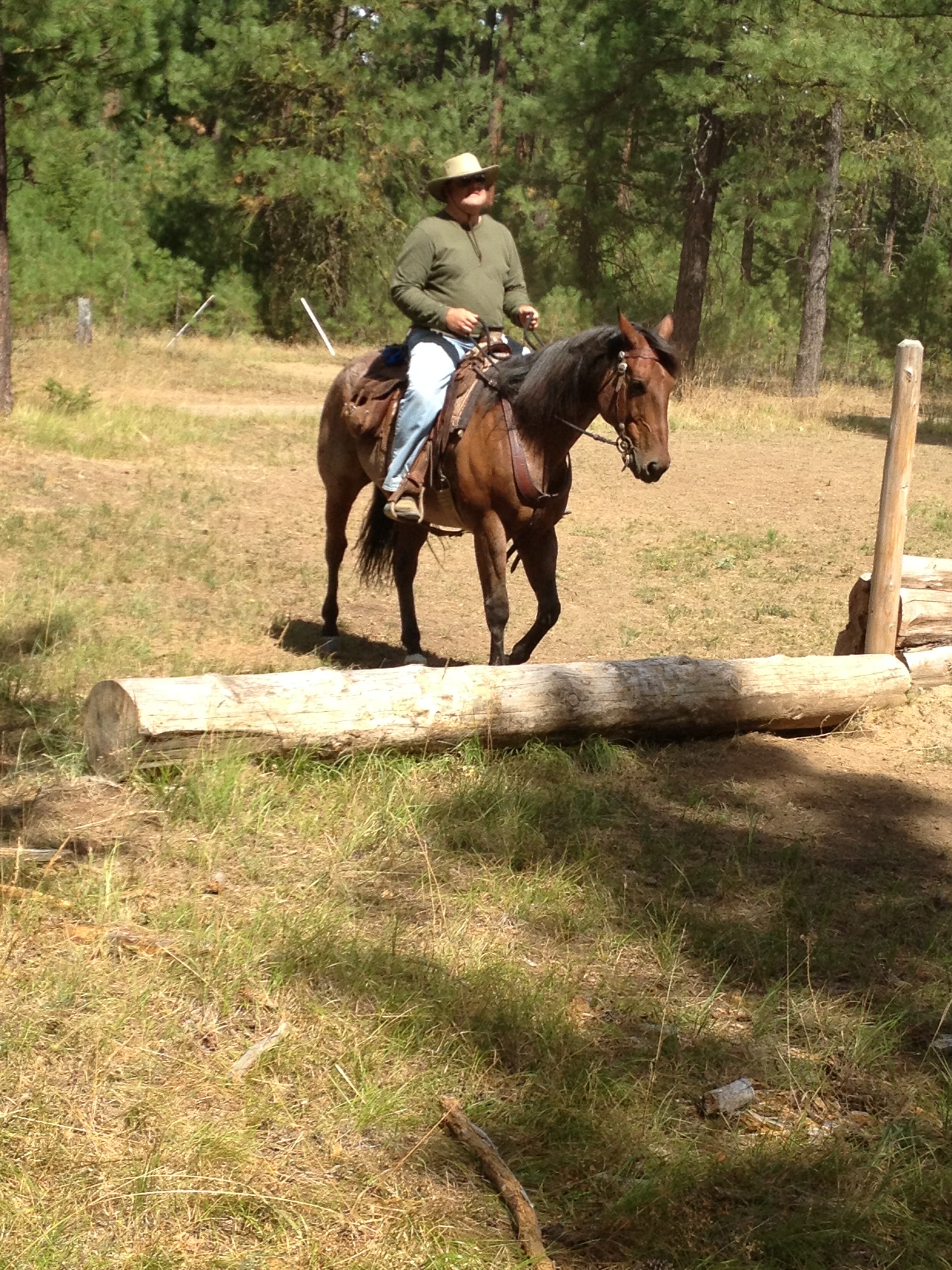 Western Sky Horsemanship