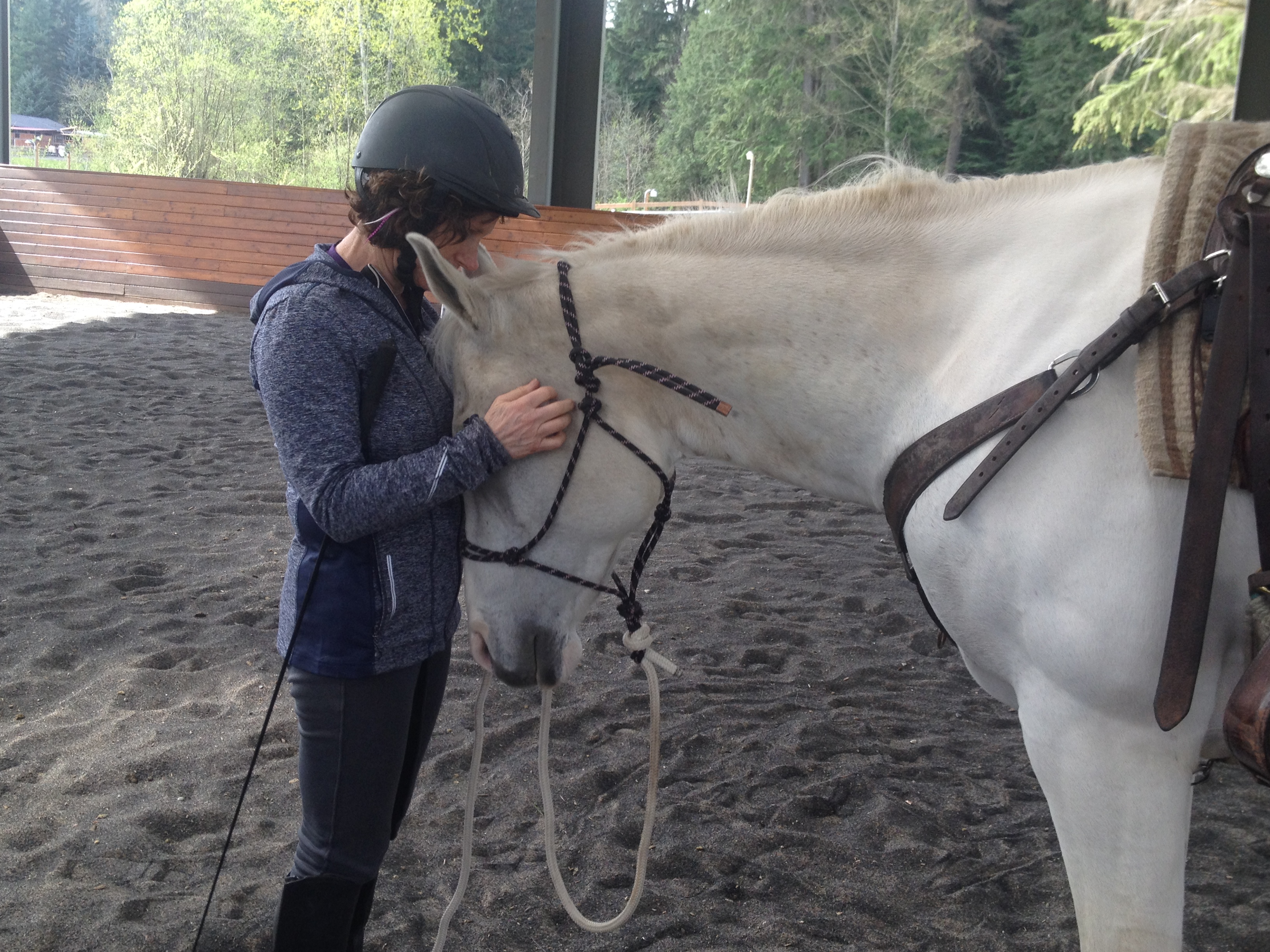 Western Sky Horsemanship